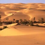 La llevaré al desierto y hablaré a su corazón