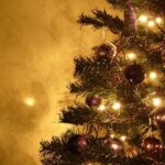 Rescatando el Arbol de Navidad