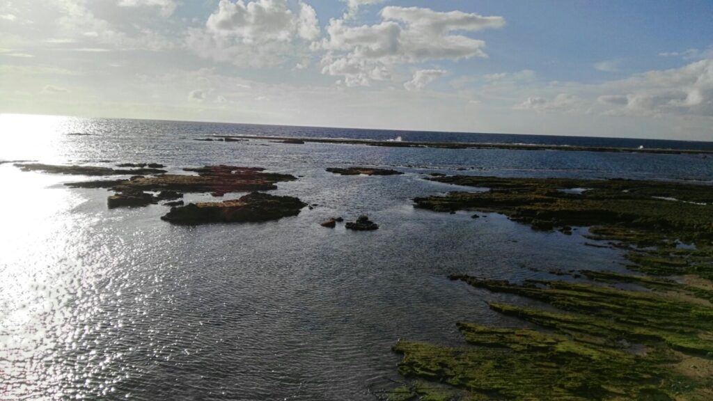 La cosa empezó en Galilea