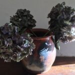 INSENSIBILIDAD, DESHUMANIZACION, HIPOCRESIA… ¿O TODO JUNTO?