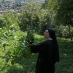 Luchando sin desfallecer por el don de Dios