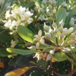 TODOS TENEMOS PRISA