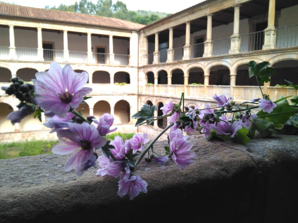 La unidad