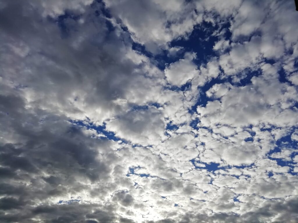 SIN CONFIANZA… ¡NOS AHOGAMOS!
